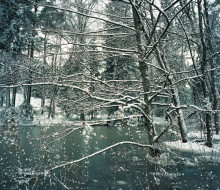 Finland_OTO_Kazashito01